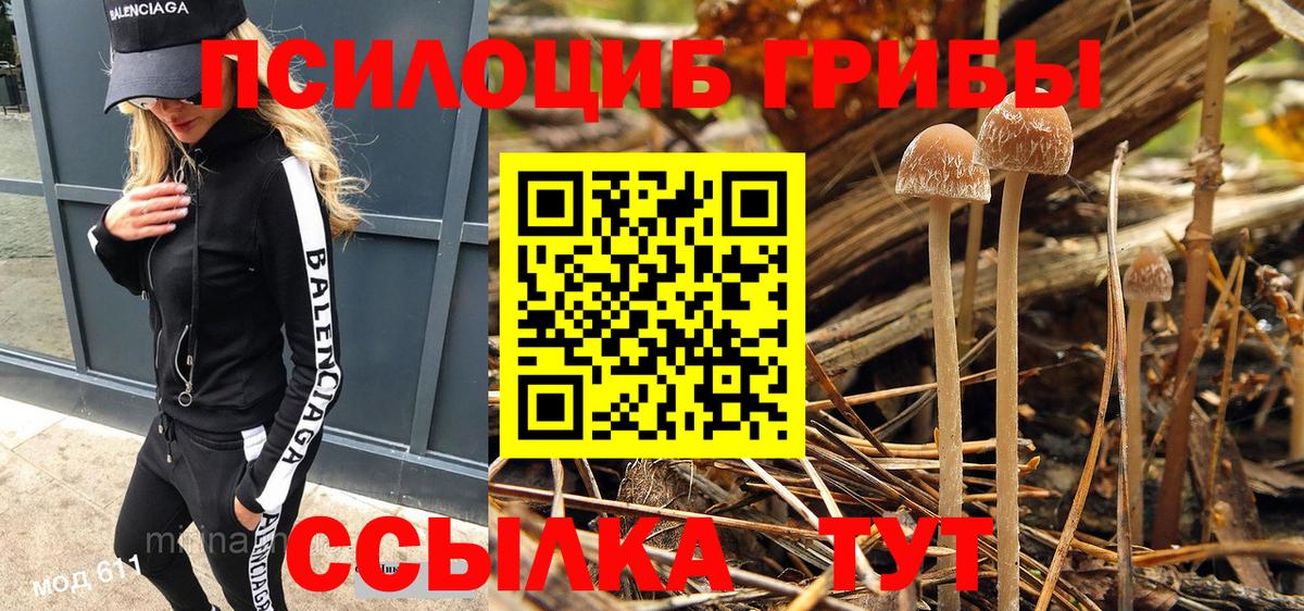 Псилоцибиновые грибы прущие грибы  Вход с VPN  наркошоп  Вышний Волочёк 