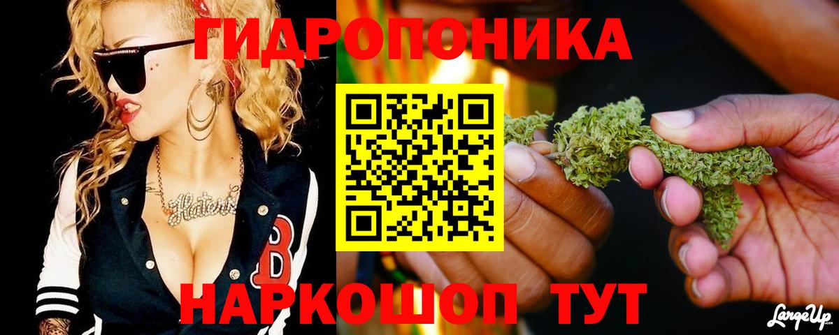 Бошки Шишки индика Вышний Волочёк
